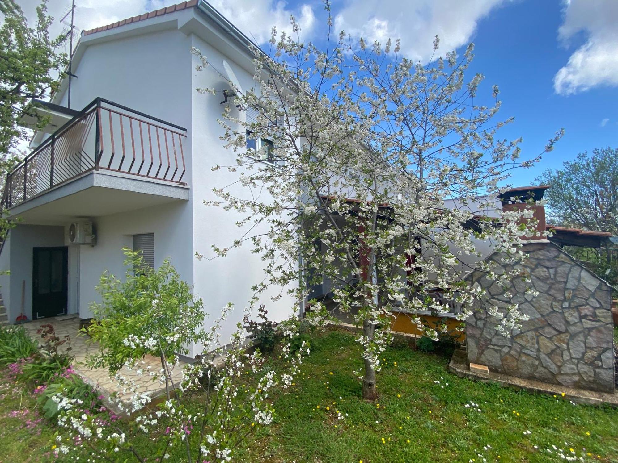 Grgurevic Apartmán *